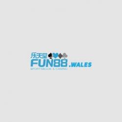 Profile picture for user fun88wales