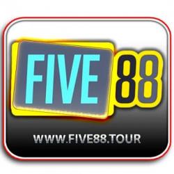 Profile picture for user five88tours