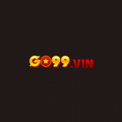 Profile picture for user go99vin