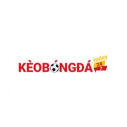 Profile picture for user keobongda247today