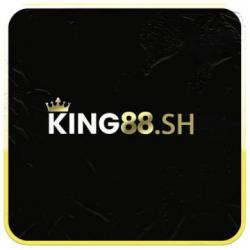 Profile picture for user king88sh