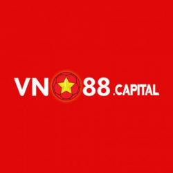 Profile picture for user vn88capital